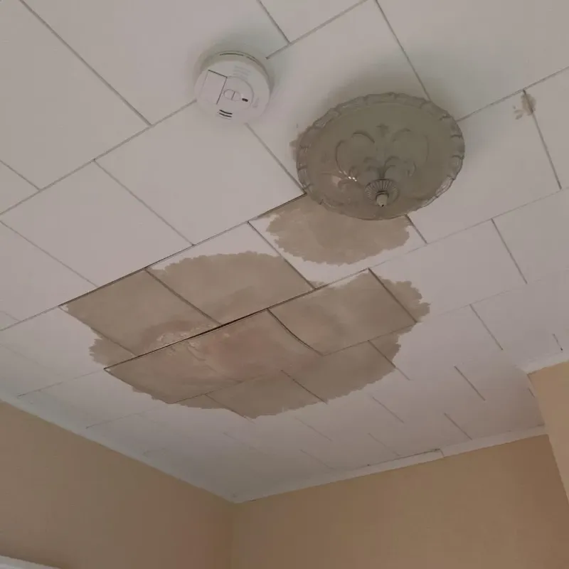 Ceiling Water Damage Repair in Carmel, ME
