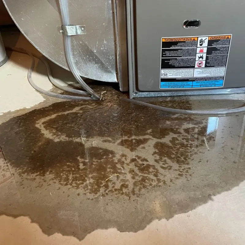 Pipe Burst and Leak Restoration in Carmel, ME